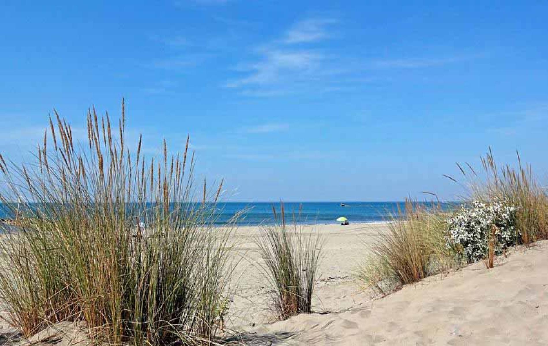 The dunes and beach at l'Espiguette